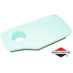 Filtre à Air BRIGGS & STRATTON - 270843S