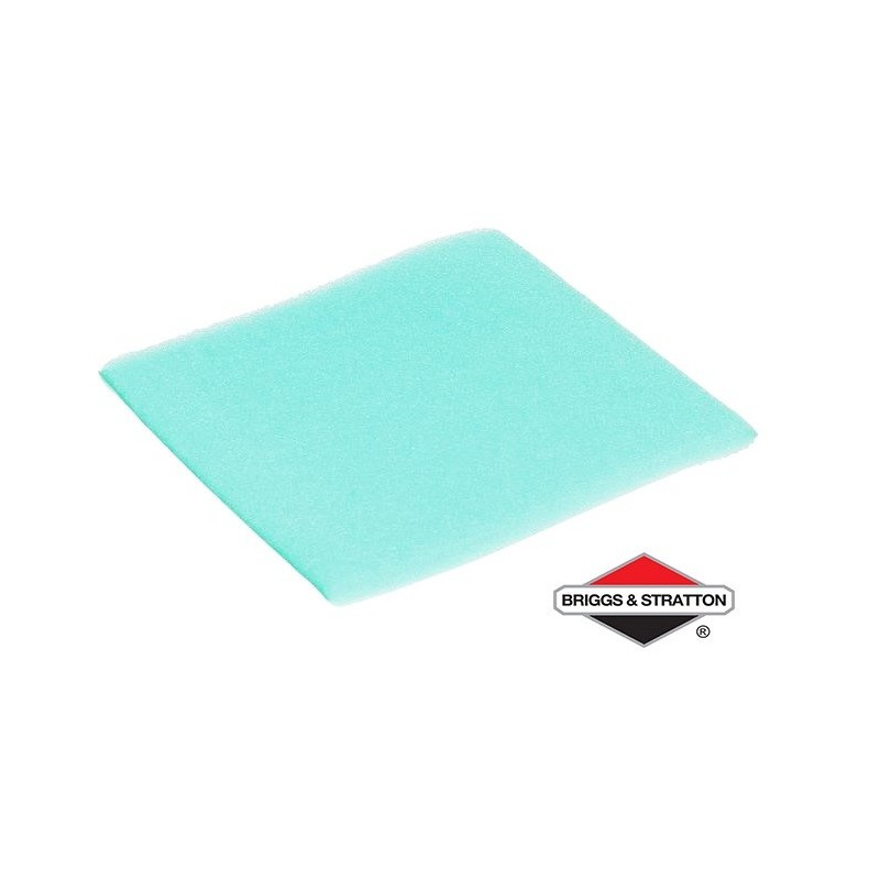 Pré-Filtre BRIGGS & STRATTON - 797704