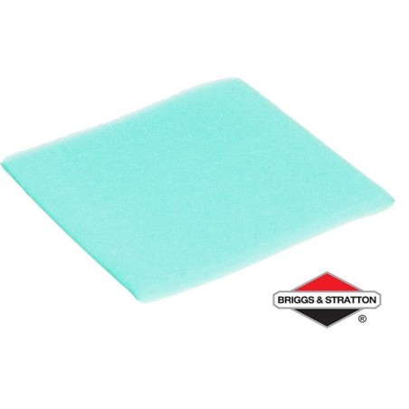 Pré-Filtre BRIGGS & STRATTON - 797704