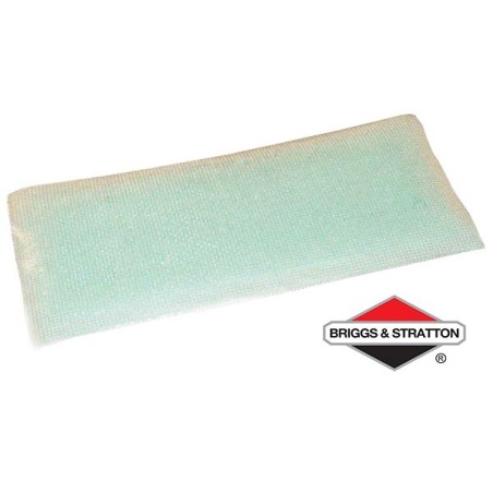Pré-Filtre BRIGGS & STRATTON - 710268