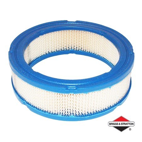 Filtre à Air BRIGGS & STRATTON - 394018S