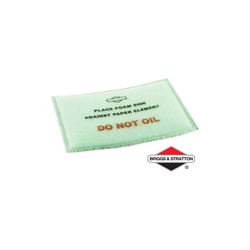 Pré-Filtre BRIGGS & STRATTON - 399039