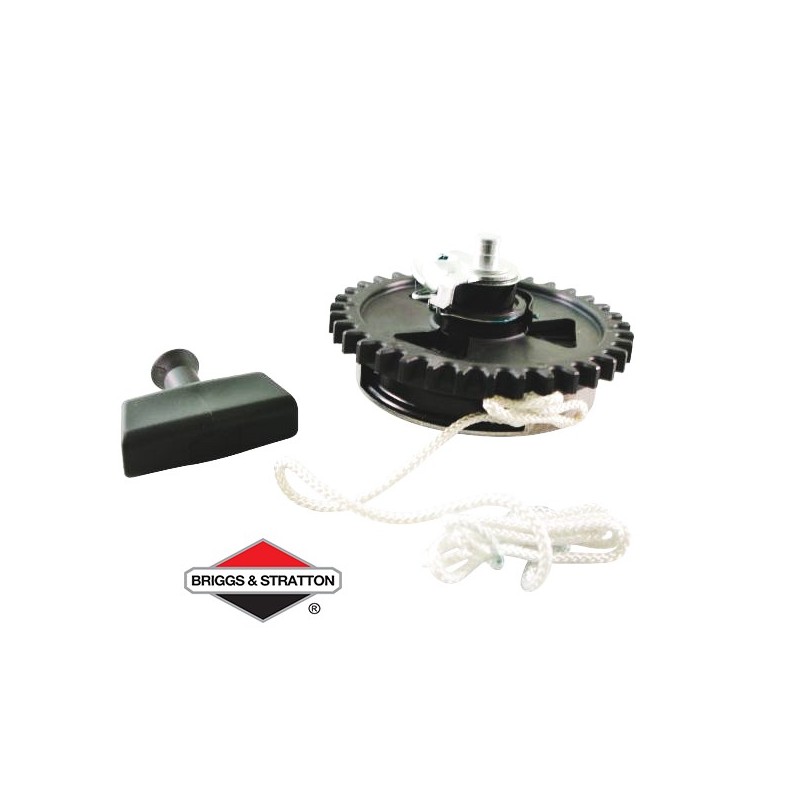 Lanceur BRIGGS & STRATTON - 490647