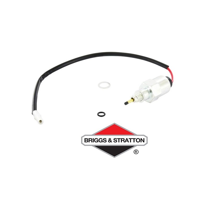 Relais Anti-Pétaradage BRIGGS & STRATTON - 692094