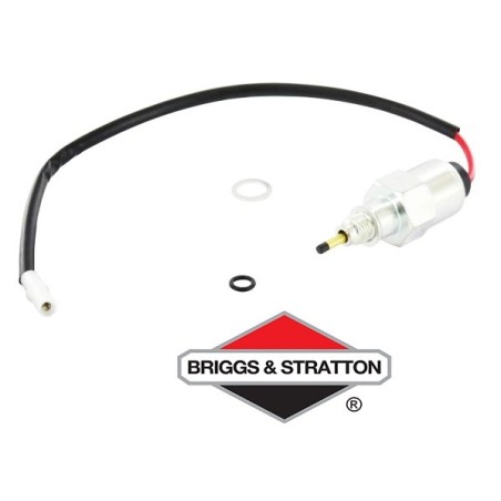 Relais Anti-Pétaradage BRIGGS & STRATTON - 692094