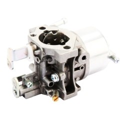 Carburateur - 15003-2009