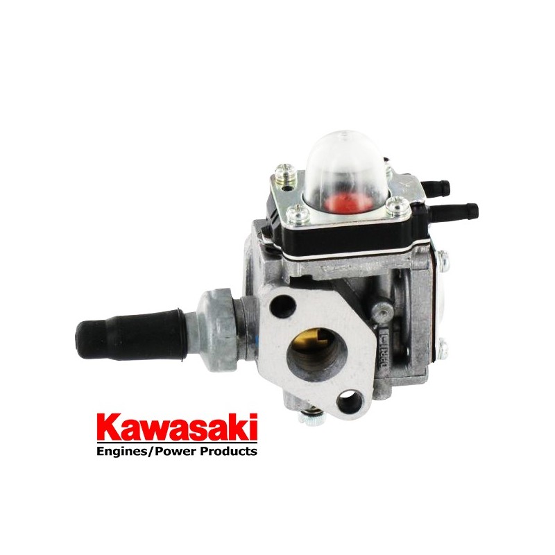 Carburateur - 15003-2009