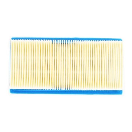 Filtre à Air - 491384