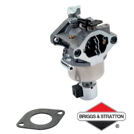Carburateur BRIGGS & STRATTON - 794572