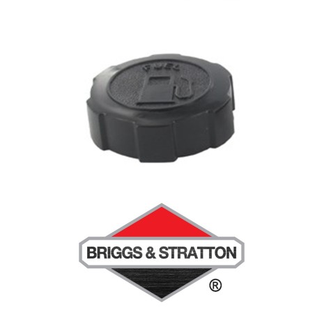 Bouchon Adp. BRIGGS & STRATTON - 397974