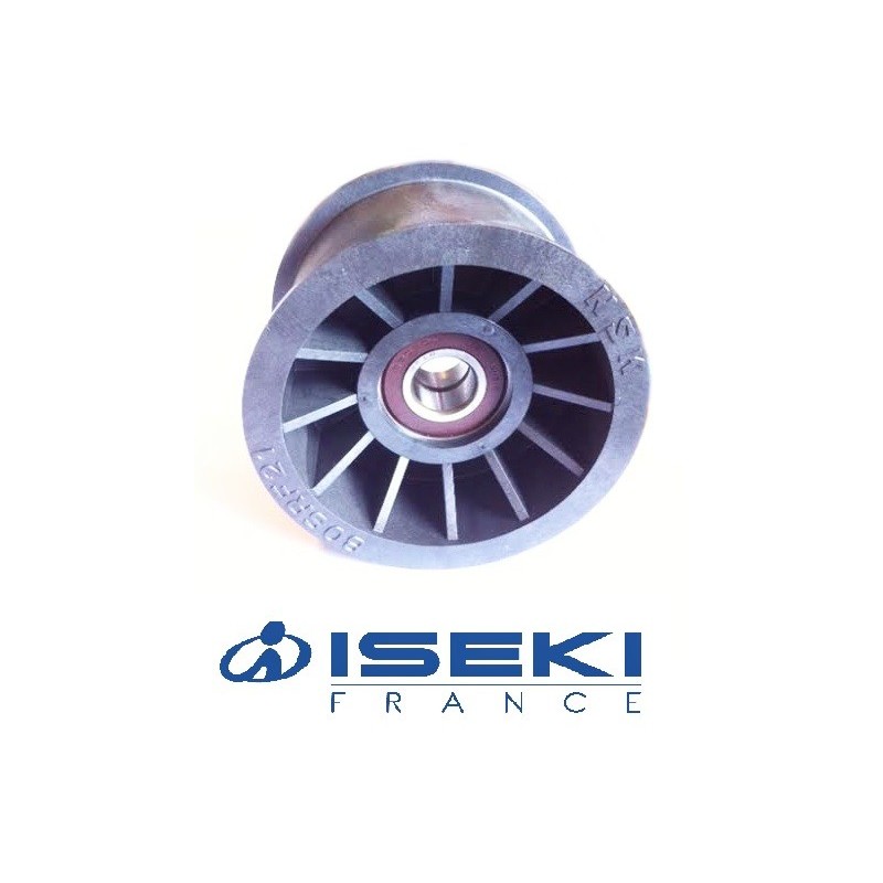 Galet Tendeur ISEKI (3648-703-001-00)