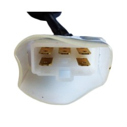 Contacteur à Clé ISEKI (1593-621-250-10)