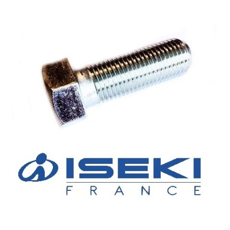 Vis de Lame ISEKI (V203-361-203-50)