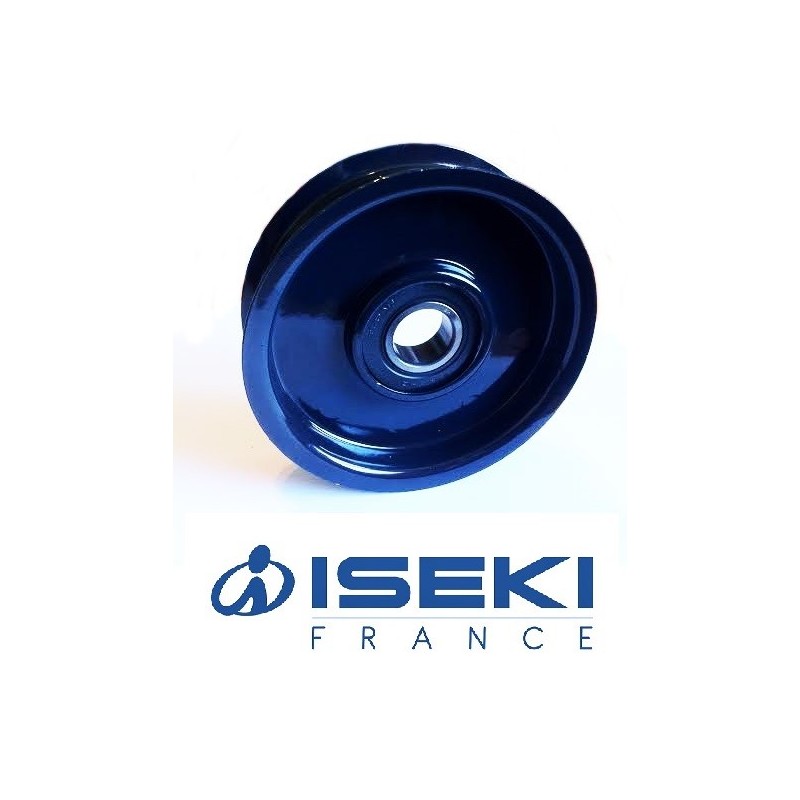 Poulie Tendeur ISEKI (8593-014-200-10)