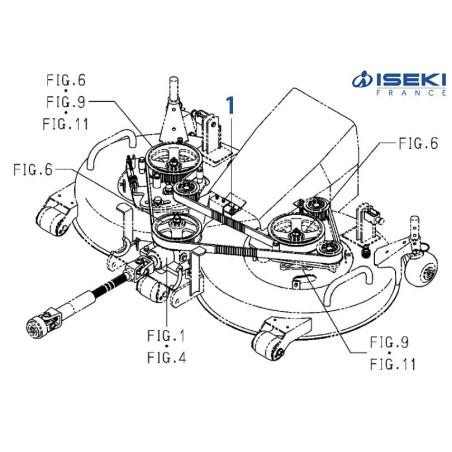 Courroie Crantée ISEKI (8665-203-001-00)