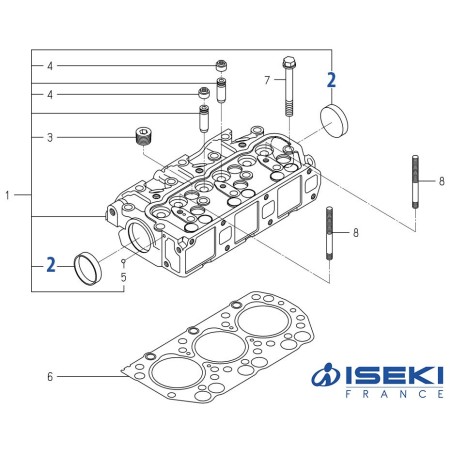 Pastille de Dessablage ISEKI (6911-129-006-00)