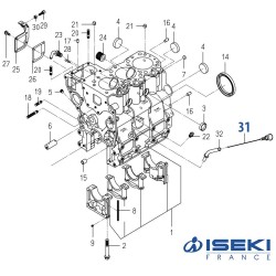 Jauge d'Huile ISEKI (6211-760-054-20)