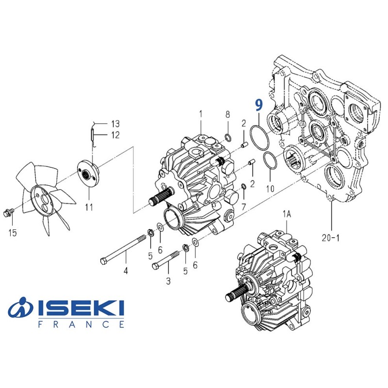 Joint Torique ISEKI (V721-103-106-00)