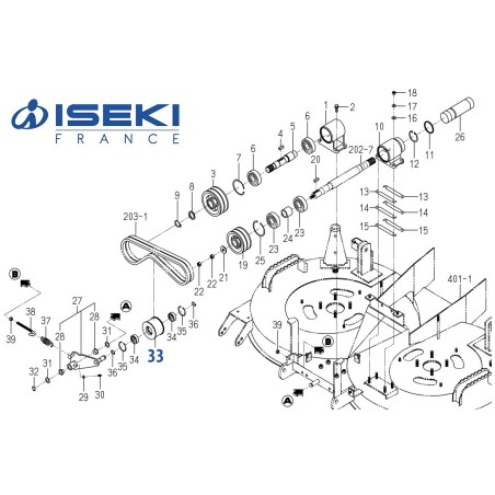 Galet Tendeur ISEKI (8674-201-006-00)