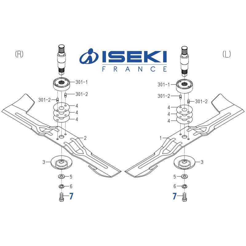 Vis de Lame ISEKI (V203-361-202-50)
