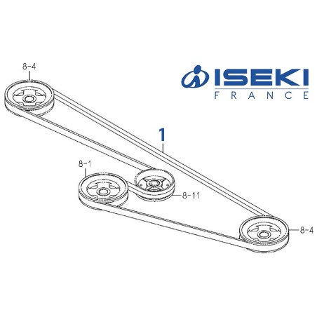 Courroie d'Entraînement ISEKI (8657-203-001-00)