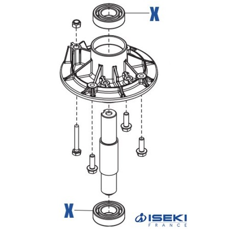 Roulement Moyeu ISEKI (476634)