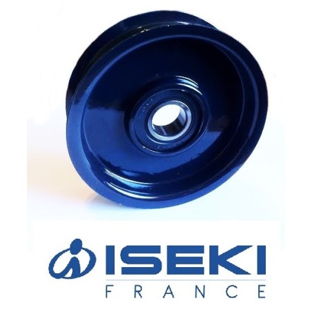 Poulie Tendeur ISEKI (8593-014-200-10)