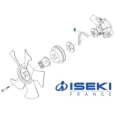 Courroie ISEKI (6213-671-058-00)