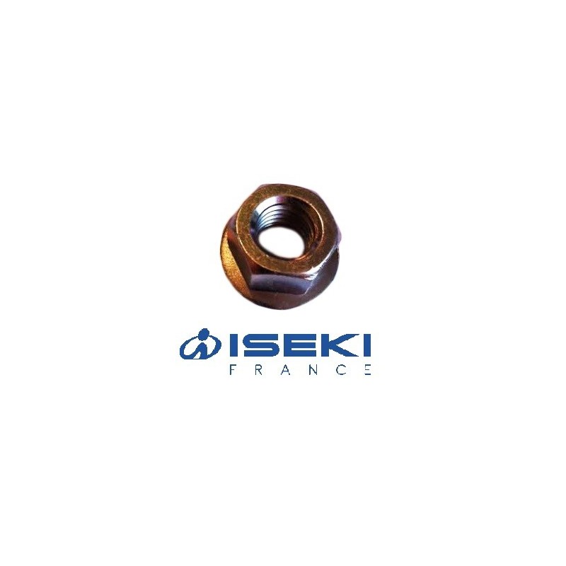 Écrou d'Axe ISEKI (V360-260-012-00)