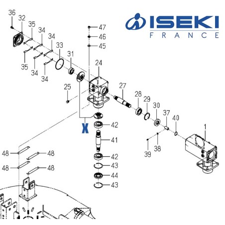 Couple Conique ISEKI (8667-201-530-00)