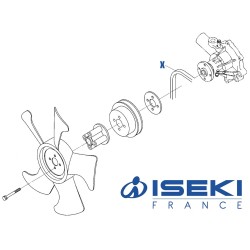 Courroie ISEKI (6213-671-058-00)