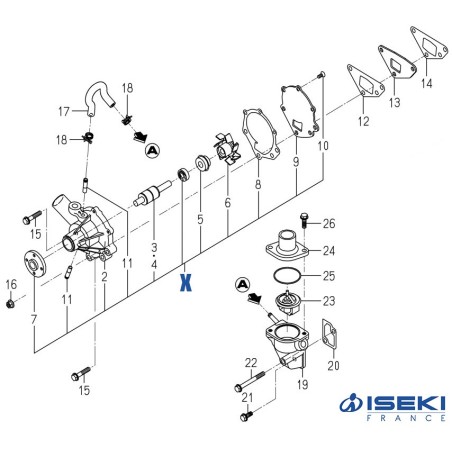 Pompe à Eau ISEKI (6213-610-004-50)