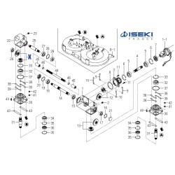 Couple Conique ISEKI (8667-201-530-00)