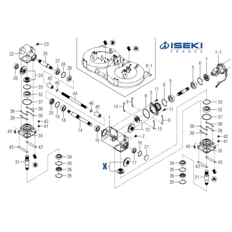 Jeu de 2 Pignons ISEKI (8667-201-520-00)