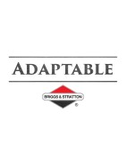 Pièces Adaptables BRIGGS & STRATTON