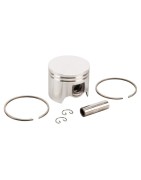 Cylindres / Pistons / Segments